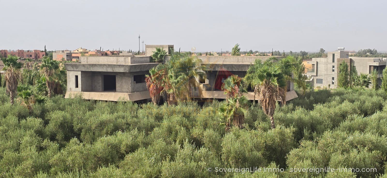 Projet d'investissement – Domaine de 1 ha avec maison d'hôtes, villa semi-finie et 200 oliviers – Route de l'Ourika — photo 5