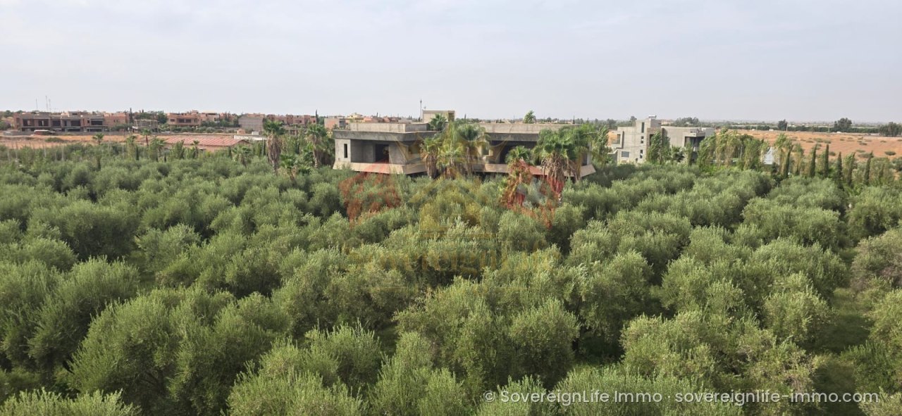 Maison semi-finie sur domaine de 1 ha avec maison d'hôtes et 200 oliviers – Route de l'Ourika — photo 1